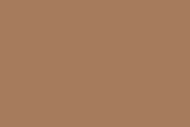 2880x1800 cafe au lait solid color background.jpg