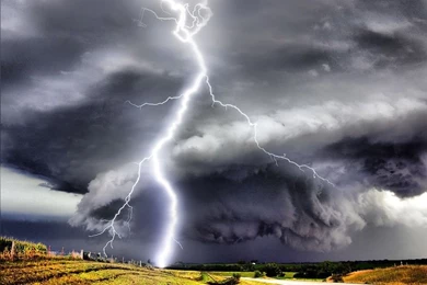 Automatically Extracting Disaster Relevant Information From Social ...