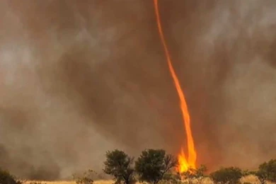 1334x1001px Fire Tornado In Nature