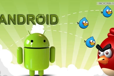 2013 Android HD Wallpapers Free Download