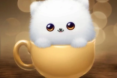 Cute HD Wallpapers Free Download ~ Bollywood HD Wallpapers 2015