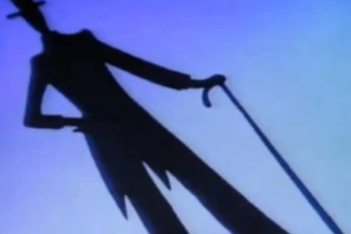 Daddy Long Legs Daddy Long Legs Wallpapers (39280236) Fanpop