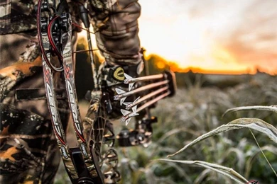 Mathews creed xs 2014 03.jpg