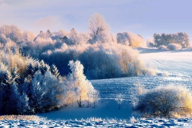 Snowy Hillside Landscape Wallpapers Full HD [2880x1800]   Free ...