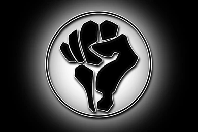 Gallery For   Black Panthers Fist