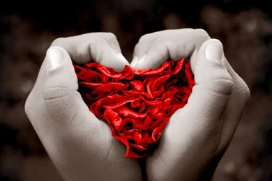 Feel My Love Wallpapers   All Wallpapers New