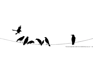 Black And White Minimalistic Quotes Power Lines Crows Ravens ...