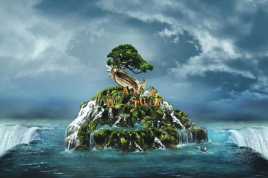 Unique Nature Pictures   HD Wallpapers And Pictures