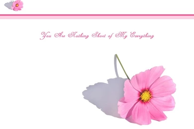 Love Wallpapers  My Everything