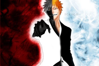 Bleach Wallpapers 15117   HD Wallpapers Site