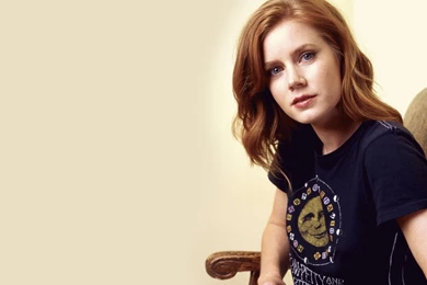 Amy Adams Wallpapers   Celebrity Wallpapers