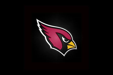 Arizona Cardinals Team Logo iPad Wallpapers