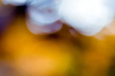 Royalty Free Images Free Download   HD Wallpapers Pretty