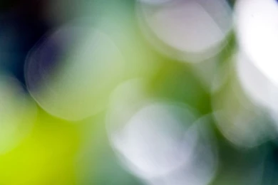 Royalty Free Stock Photos Free Download   Widescreen HD Wallpapers