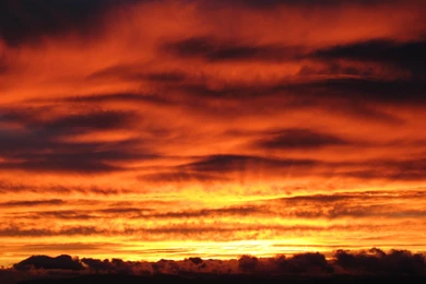 Funny Pictures Copyright Free