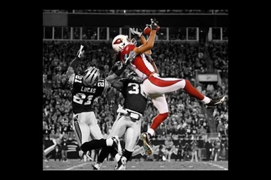My Larry Fitzgerald Vs Carolina Panthers Wallpapers