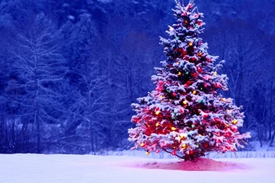 Animated Christmas Wallpapers Free Download Winter Christmas Tree ...