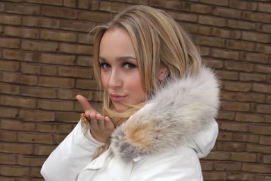 Kiss HD Wallpapers• PoPoPics.com