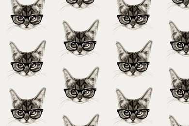 Tabby Hipster Cat With Glasses iPhone Wallpapers   Hipster Wallpapers
