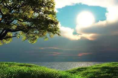 HD Nature Wallpapers Free Download   Newwallpapershits.com