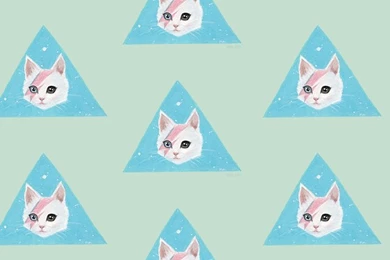 David Bowie Hipster Cat iPhone Wallpapers   Animal Wallpapers