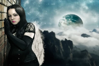 Hd Wallpapers, Free Images, Backgrounds Photos, Photoshoot ...