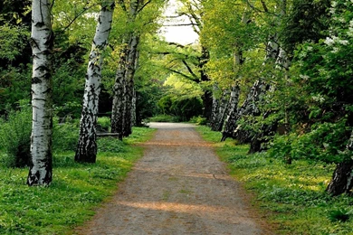 Scenery Wallpapers Free Download   Desktop Backgrounds