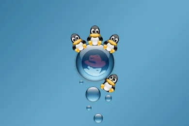 Redhat Animals Wallpapers Linux Redhat The Middle Of Desktop ...