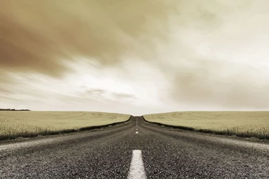 Highway Trucks/Tractor