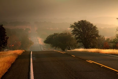 Nature Road Track Highway Tree Tree Leaves Leaves Backgrounds ...