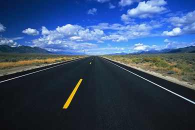 1440x960px Crocus Flower Single