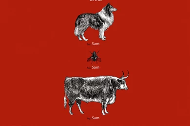 Hbo True Blood Wallpapers   Wallpapers Cave