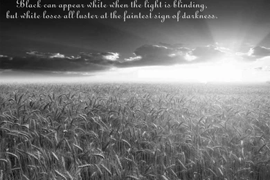 Motivational and inspirational wallpaper quote.jpg