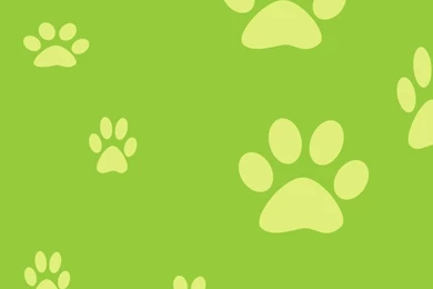 Doggy Paws Mobile Wallpapers 2959
