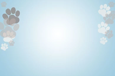 Welcome To Wagg & Walk Dog Walking Service   Southampton