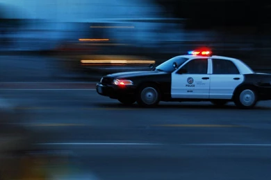 Arcadia Man, 60, Arrested For Allegedly Growing Marijuana