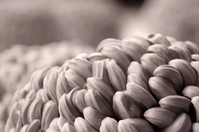 PABLO FLORES   PHOTOGRAPHY   Wallpapers