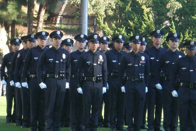 LAPD Blog: Editorials