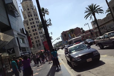 LAPD Watchdogs Question Why Officers Are Rarely Found Guilty Of ...