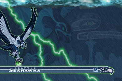 Seattleseahawks DeviantArt
