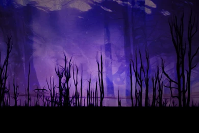 Lost In Wonderland [2560x1440] : Wallpapers