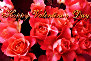HAPPY VALENTINE S DAY WALLPAPER   (