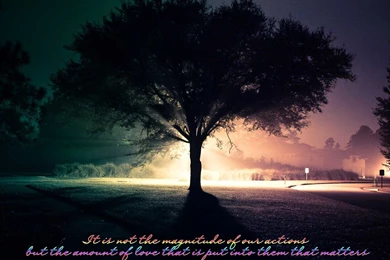 1600x1200px Picture Quotes About Life HD Wallpapers