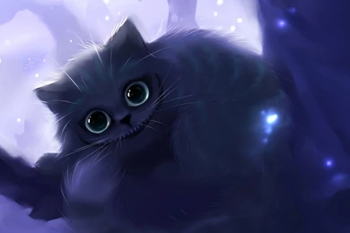 Cheshire Cat Smile HD Desktop Wallpapers : Widescreen : High ...