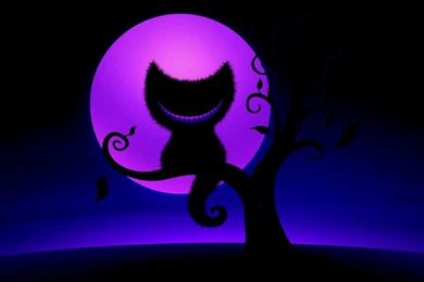 Cheshire Cat Wallpapers By Solvecho On DeviantArt