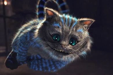 Cheshire Cat Wallpapers   Cartoon Wallpapers