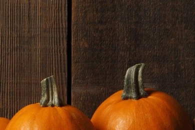 iPhone 4 Wallpapers, iPhone 4 Backgrounds, iPhone 4 Themes   Part 5