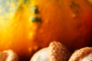 Wallpapers Weekends: Thanksgiving Harvest