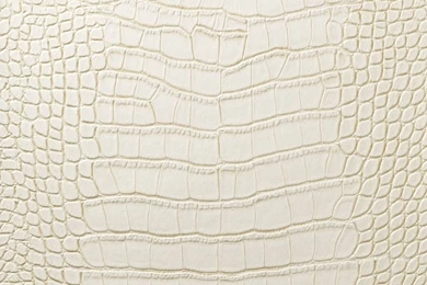 Le Embossed Croc   White Cream [LEC 5006] : Designer Wallcoverings™
