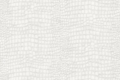 Graham & Brown Crocodile Skin Pattern Animal Print Wallpapers 32 660